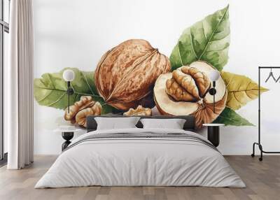 walnut illustration, high detail, white background Wall mural