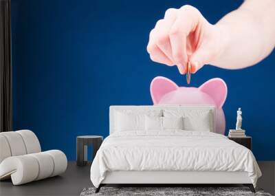 Money Savings - Coin and Piggy Bank Wall mural