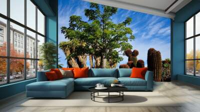 Tropical garden with leafy tree and large cactus, blue sky and clouds Wall mural