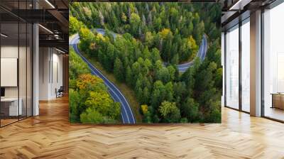 winding mountain road in a green forest (aerial view) Wall mural