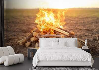 Bonfire on a field during sunset with flames and firewood. Wall mural