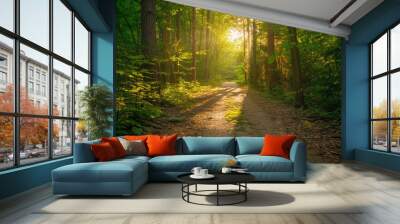 The path through the forest is bathed in sunlight. Wall mural