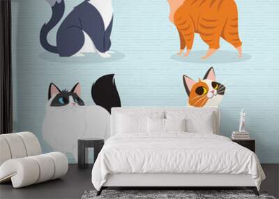 Cats Breed Set Wall mural