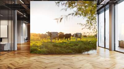 cows at field going back inside during sunset with branch Wall mural