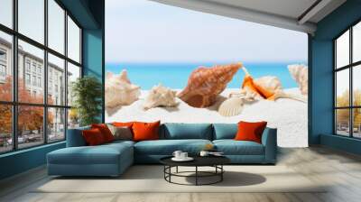 Banner summer background with white sand. Seashell on the beach. Wall mural