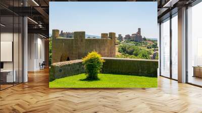 Tuscania, Viterbo, Italy: the Torre di Lavello park and wall Wall mural