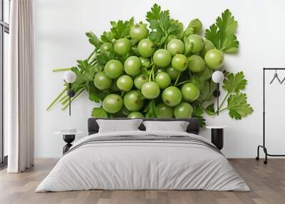 Close up of fresh coriander on white background  a natural organic herb for healthy cooking Wall mural