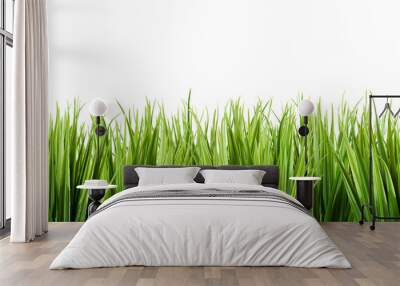 grass closeup Wall mural