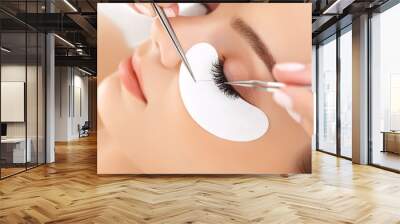 Woman Eye with Long Eyelashes. Eyelash Extension Wall mural