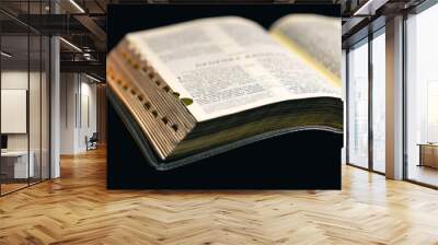 Open Bible on a black background. Religion concept. Wall mural