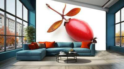 A single, ripe rose hip with two leaves on a white background. Wall mural