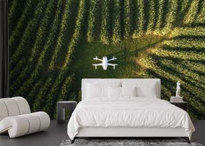 Aerial view of a drone hovering over a field of crops. Wall mural