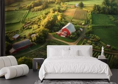 Aerial view of a farm with two red barns, a winding dirt road, and various fields. Wall mural