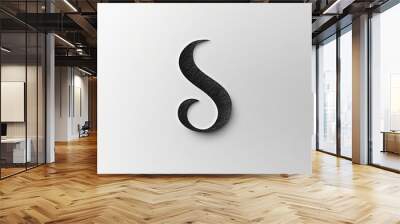 Black stylized letter S on a white background. Wall mural