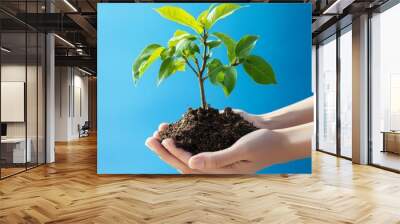 Two hands holding a small sapling with soil against a blue background. Wall mural