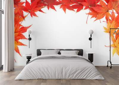 autumn red and yellow leaves of japanese maple momiji on a white background Wall mural