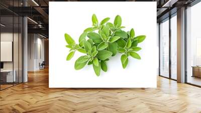 Fresh Green Sprig of Oregano Wall mural