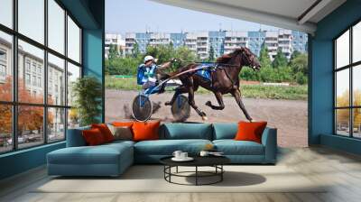 Horse racing Wall mural