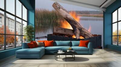 Firewood is burning in the barbecue	 Wall mural