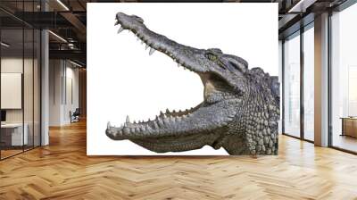 Close up head crocodile is show mouse and teeth on the rock on white background have path Wall mural