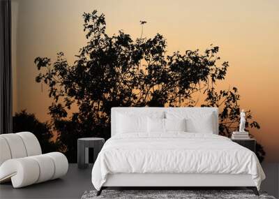 Tree silhouette landscape light sunset at thailand Wall mural