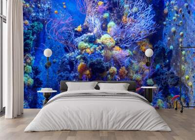 Wonderful underwater world with corals and fish in singapore. Wall mural