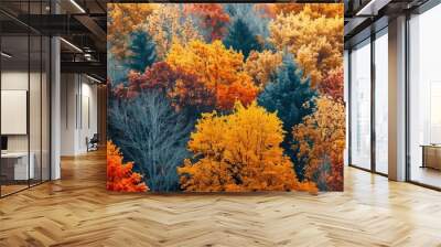 A stunning view of fall foliage with trees in full autumn colors copy space, vibrant, Overlay, scenic park backdrop Wall mural