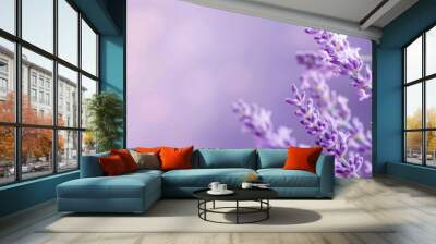 KS Lavender flowers in purple color closeup blurred backg Wall mural