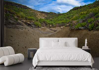 Dry River Wall mural