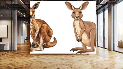 Illustration of four kangaroos in various poses. The kangaroos are drawn with detailed features showcasing different stances. Wall mural