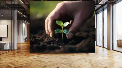 farmers hand gently plants seedling in rich, dark soil, symbolizing hope and growth in regenerative agriculture Wall mural