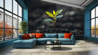 young green plant sprouting from dark soil, symbolizing growth and renewal. vibrant leaves catch light, creating hopeful and uplifting atmosphere Wall mural