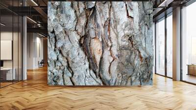 Embossed texture of the brown bark of a tree. Wooden texture background. Tree bark texture background. Wall mural