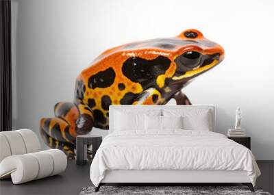 an isolated Poison Dart Frog side-view portrait, wildlife-themed, Amazon Rainforest, photorealistic illustration on a transparent background cutout in PNG. Generative AI Wall mural