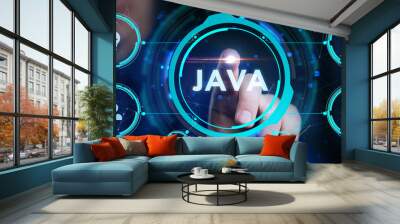 Software, web development, programming concept. Programming languages java and program. Software development. Wall mural