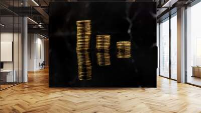 Russian coin ten rubles on a black background Wall mural