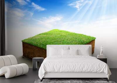 3D Illustration, cubical soil ground cross section with earth land and green grass, Soil layers. realistic 3D rendering ground ecology, cutaway terrain floor with rock isolated on blue sky background. Wall mural