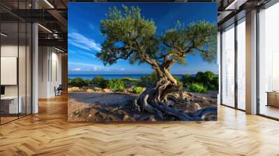 Ancient Olive Tree, Gnarled olive tree against a blue sky, Mediterranean Landscape. Wall mural