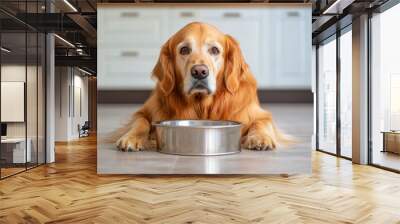 Golden Retriever with Empty Bowl, Hungry dog waiting for food in a kitchen setting, Pet care and feeding. Wall mural