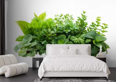 Mixed Greenery in Elegant Terrarium Planters on Transparent Background Wall mural