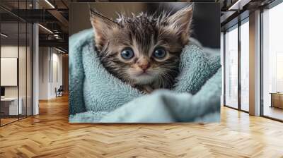 A kitten wrapped in a towel after a bath, with its fur still damp and looking fluffy. Wall mural