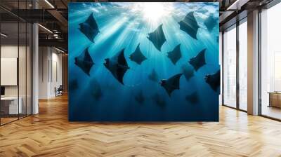 A school of manta rays gracefully swimming through the clear waters of the Maldives, with rays of sunlight filtering through the ocean. Wall mural