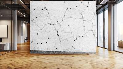 gray concrete wall for background Wall mural