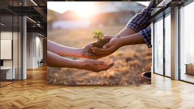 Young seedlings are ready to grow in fertile soil, Agriculture gave the young men trees to prepare for planting and reduce global warming, Save world save life and Plant a tree concept.. Wall mural