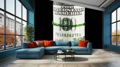 money roll (isolated on black) Wall mural