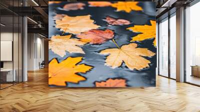 Close up of autumn leaves floating on water in a blurred background setting Wall mural