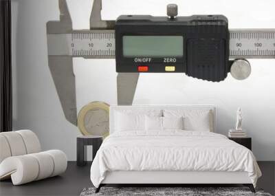 Vernier caliper Euro Wall mural