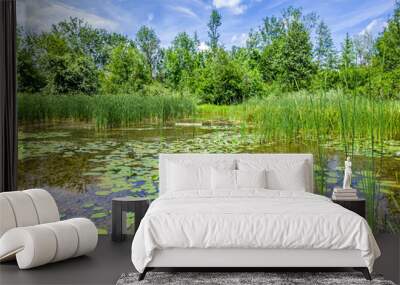 Kleiner Weiher mit Seerosen und Schilf, Biotop, Naturschutz, Benediktbeuern, Bayern, Deutschland Wall mural