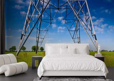 countryside grassland with farm and electricity pile Wall mural