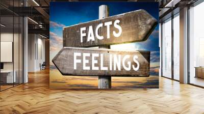 Facts, feelings - wooden signpost, roadsign with two arrows Wall mural